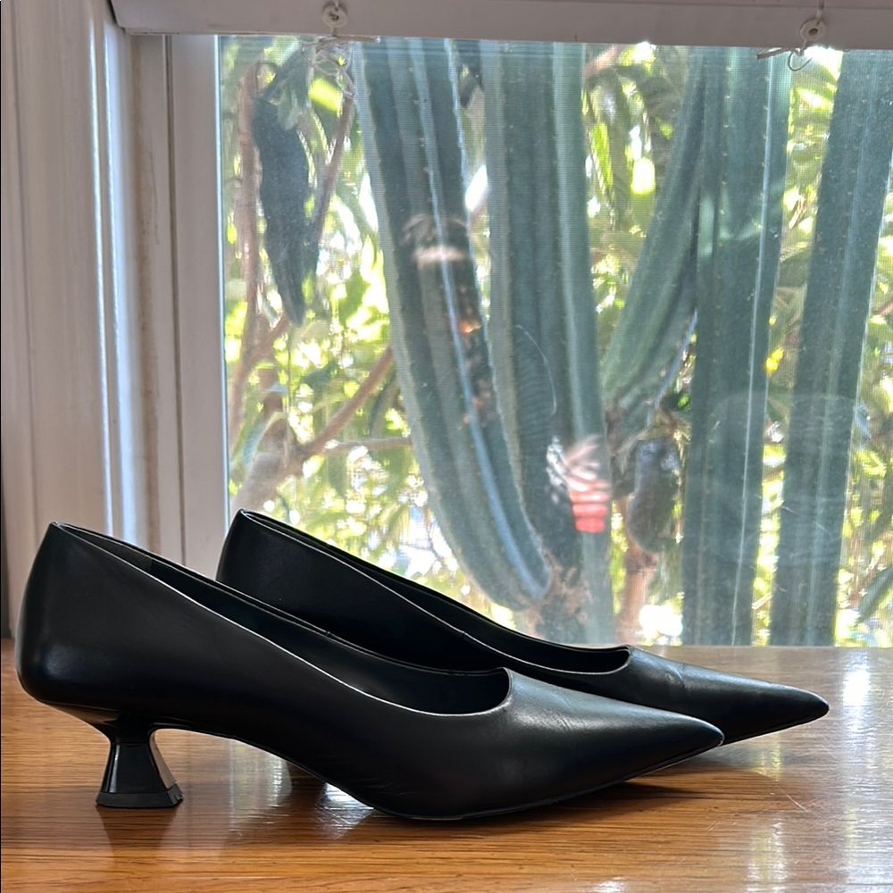 Sarto Diva Pointed Toe Low Heel Pump
